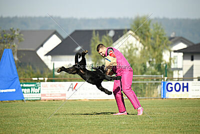 Isko vom Seddiner See