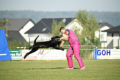 Isko vom Seddiner See