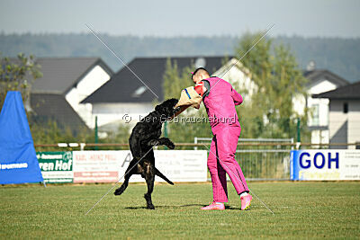 Isko vom Seddiner See