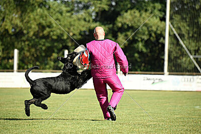 Isko vom Seddiner See