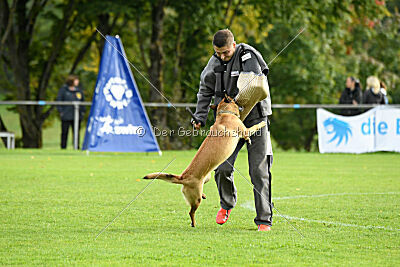 Isla Ibiza Bonita vom Eifeler Land