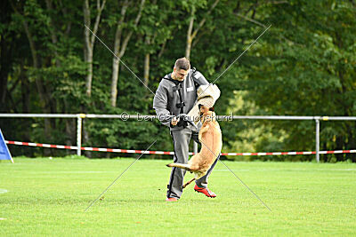 Isla Ibiza Bonita vom Eifeler Land