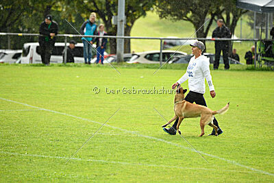 Isla Ibiza Bonita vom Eifeler Land