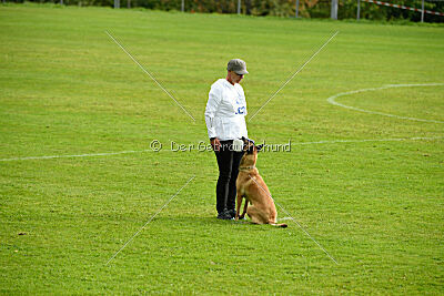 Isla Ibiza Bonita vom Eifeler Land