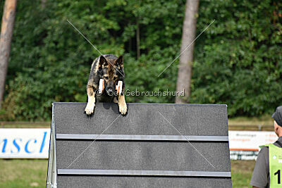 Iso von der Mooreiche