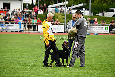 Iva von den Wichtelhäusern