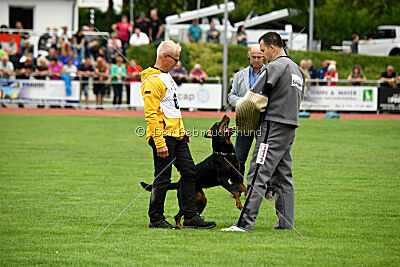 Iva von den Wichtelhäusern