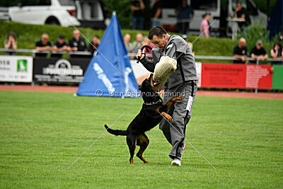 Iva von den Wichtelhäusern