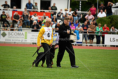 Iva von den Wichtelhäusern