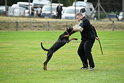 Iva von den Wichtelhäusern