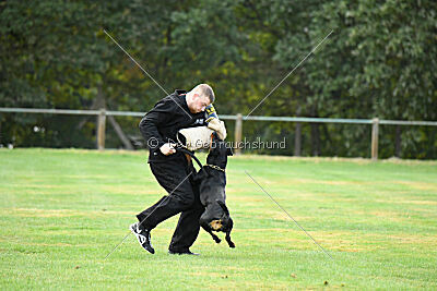 Iva von den Wichtelhäusern