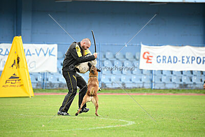 Ivan von der Tigerland