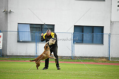 Ivan von der Tigerland