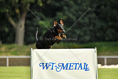 Ivar vom Hexenzauber