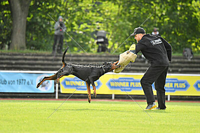 Ivar vom Hexenzauber