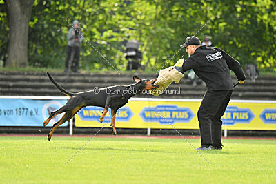 Ivar vom Hexenzauber