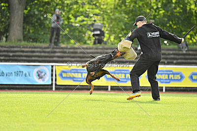 Ivar vom Hexenzauber