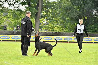 Ivar vom Hexenzauber