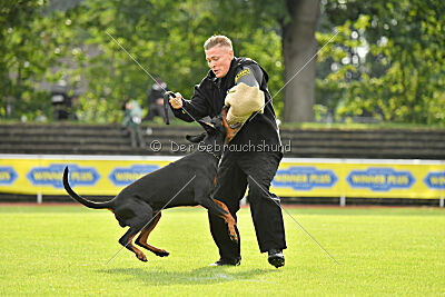 Ivar vom Hexenzauber