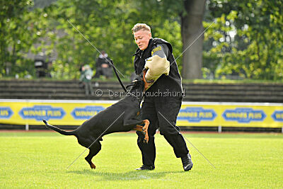 Ivar vom Hexenzauber