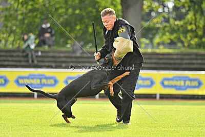 Ivar vom Hexenzauber