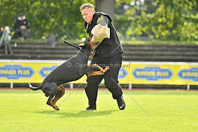 Ivar vom Hexenzauber