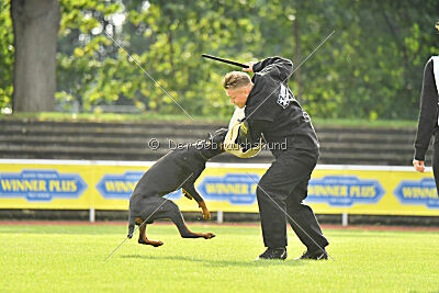 Ivar vom Hexenzauber