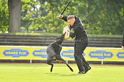 Ivar vom Hexenzauber