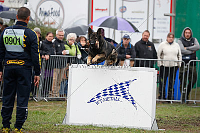 Ix von der Mooreiche