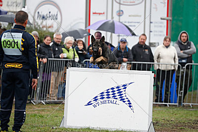 Ix von der Mooreiche