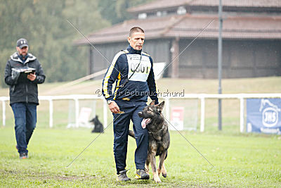 Ix von der Mooreiche