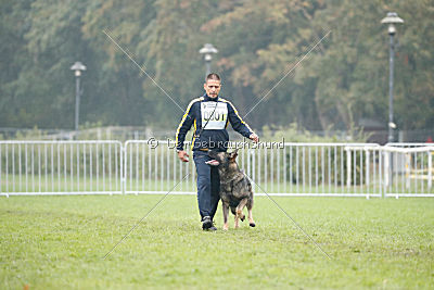 Ix von der Mooreiche