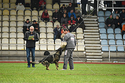 Ix von der Mooreiche