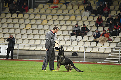 Ix von der Mooreiche