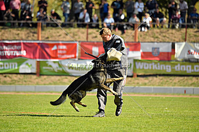 Ix von der Mooreiche