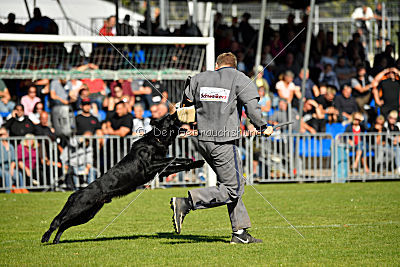Ixtrem vom Eisernen Kreuz