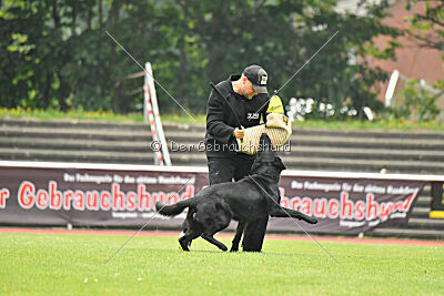 Ixxo vom blauen Stern