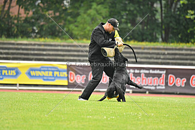 Ixxo vom blauen Stern