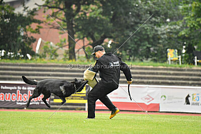 Ixxo vom blauen Stern