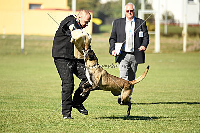 Izarh vom Kistenstein