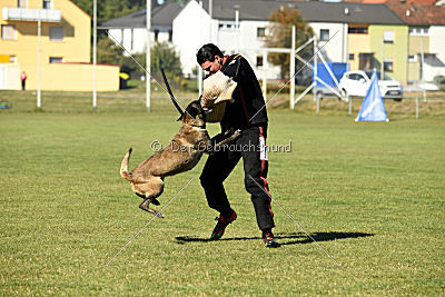 Izarh vom Kistenstein