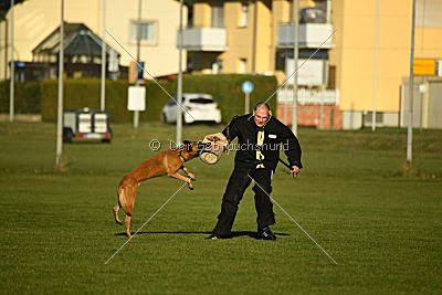 J'Lux vom Brunsbeker Land