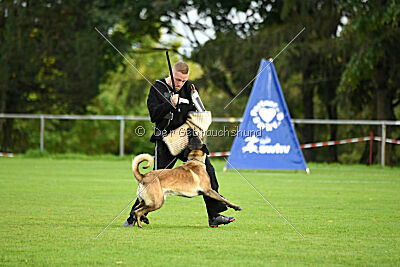 Jackazz Jazz de L'Etoile de L'Est