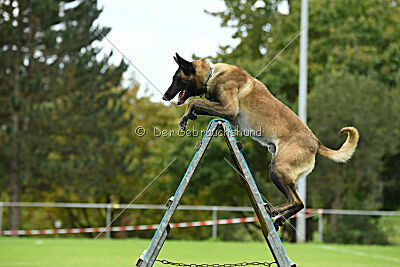 Jackazz Jazz de L'Etoile de L'Est