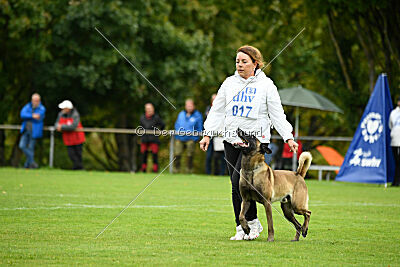 Jackazz Jazz de L'Etoile de L'Est
