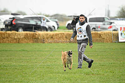 Jackie Brown Ballacoilupi