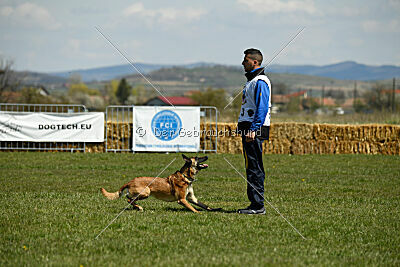 Jackie Brown Ballacoilupi