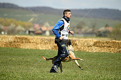 Jackie Brown Ballacoilupi