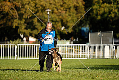 Jackson vom Haus Salztalblick