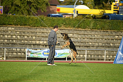 Jackson vom Haus Salztalblick